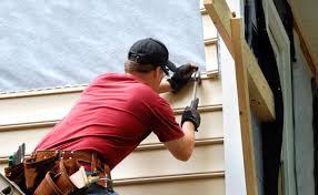 Best Vinyl Siding Installation  in Holt, MI